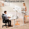 DrawerDesk Electric Standing Desk 40"