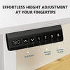 ErGear Electric Standing Desk 63"